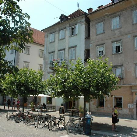 Vitez Apartment II Liubliana Exterior foto